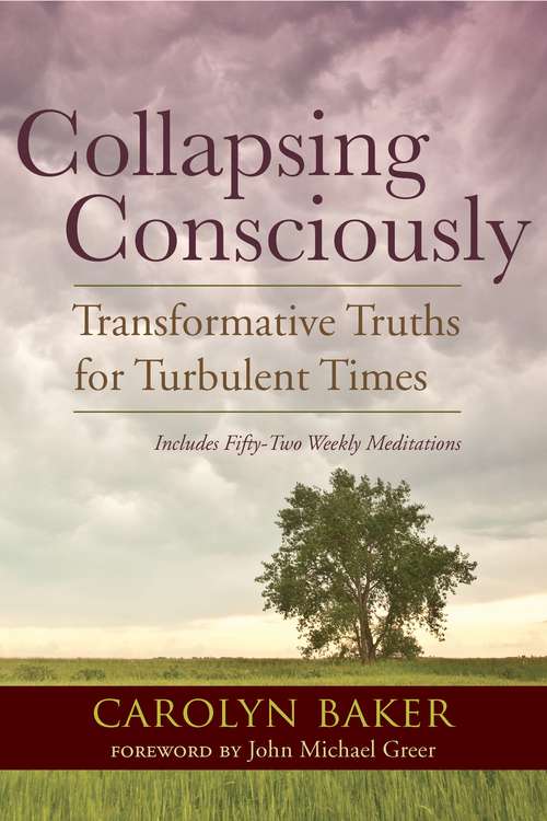 Collapsing Consciously: Transformative Truths for Turbulent Times (Sacred Activism #3)