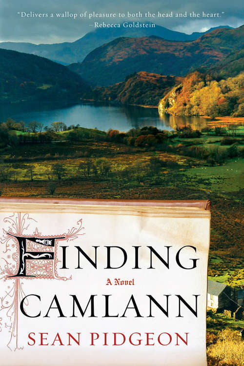 Book cover of Finding Camlann: A Novel