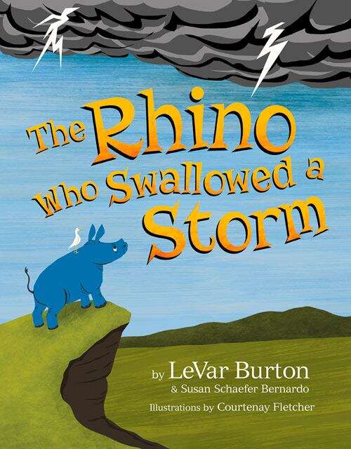 Book cover of The Rhino Who Swallowed a Storm