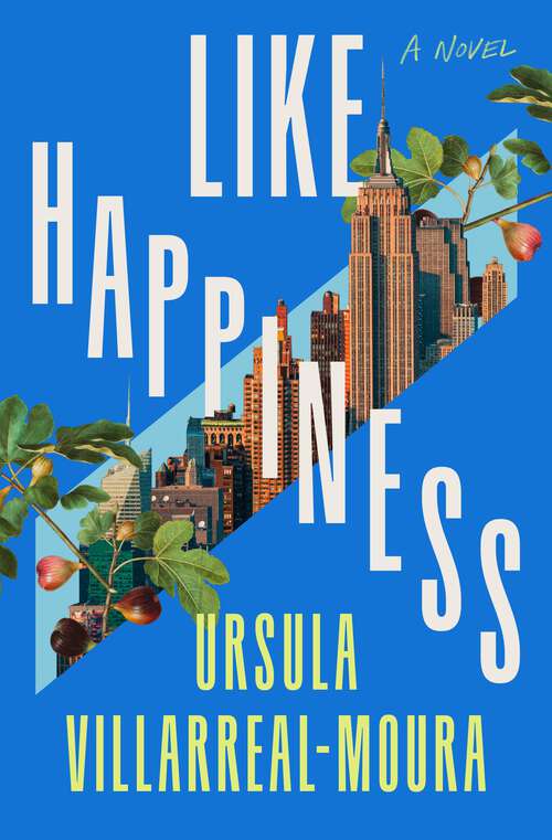 Book cover of Like Happiness: A Novel