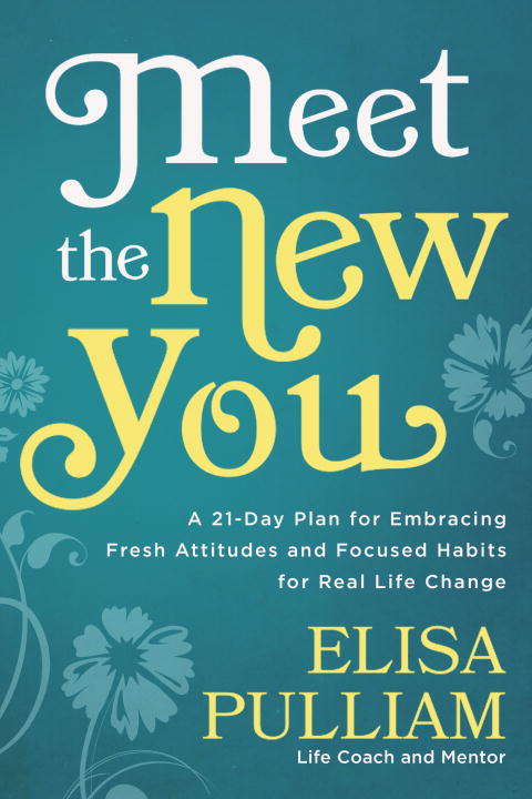 Book cover of Meet the New You