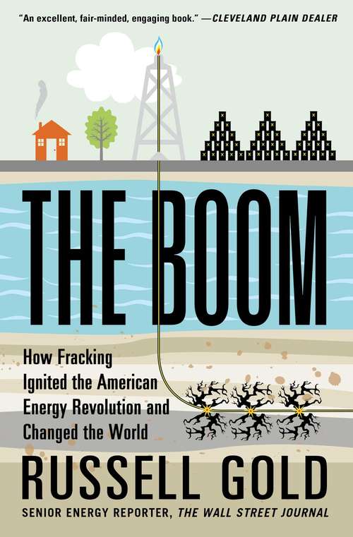 Book cover of The Boom: How Fracking Ignited the American Energy Revolution and Changed the World
