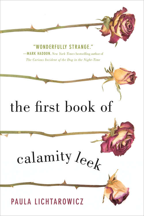 Book cover of The First Book of Calamity Leek
