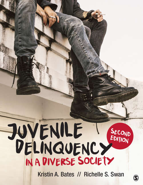 Book cover of Juvenile Delinquency in a Diverse Society (Second Edition)