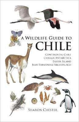 Book cover of A Wildlife Guide to Chile