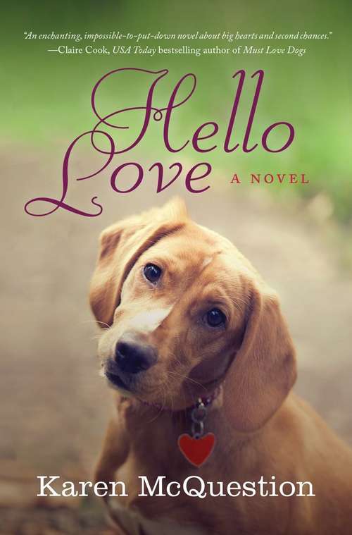 Book cover of Hello Love