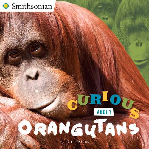 Book cover of Curious About Orangutans (Smithsonian)