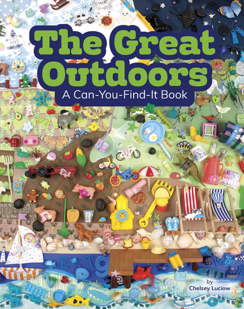 Book cover of The Great Outdoors: A Can-you-find-it Book (Can You Find It? Ser.)
