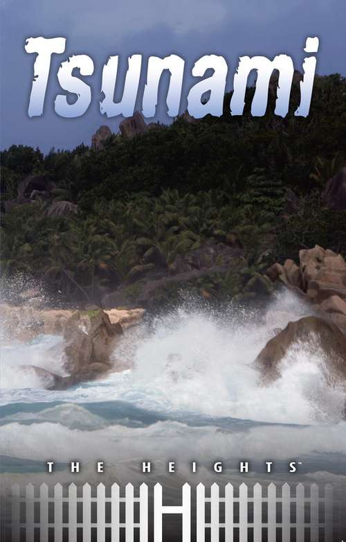 Book cover of Tsunami