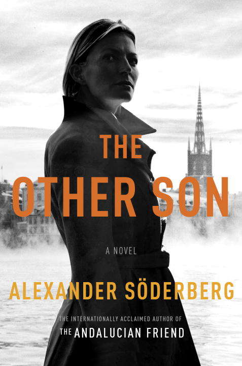 Book cover of The Other Son