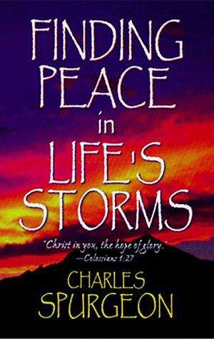 Book cover of Finding Peace in Life's Storms