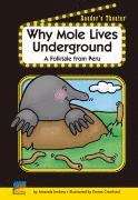 Book cover of Why Mole Lives Underground: A Folktale from Peru