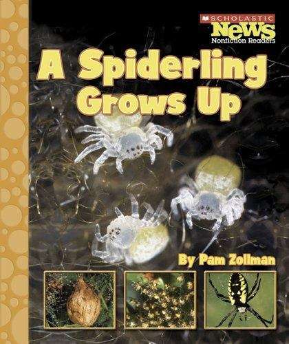 Book cover of A Spiderling Grows Up