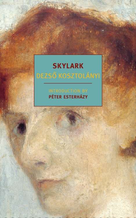 Book cover of Skylark