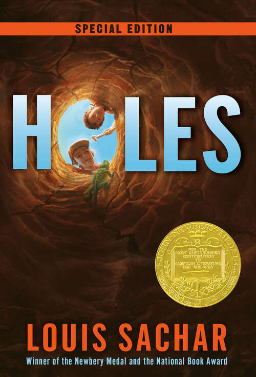 Book cover of Holes