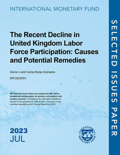 Book cover of The Recent Decline in United Kingdom Labor Force Participation: Causes and Potential Remedies