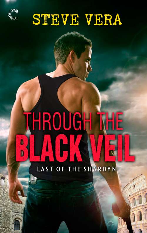 Book cover of Through the Black Veil