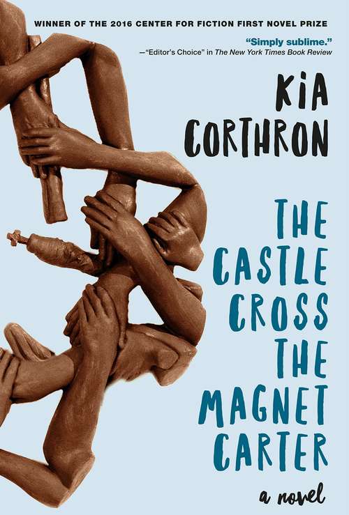 Book cover of The Castle Cross the Magnet Carter