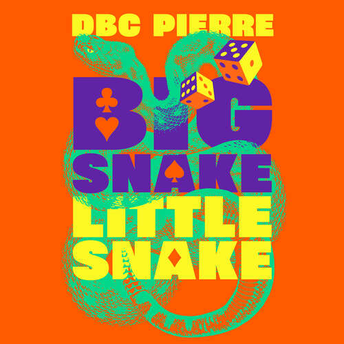 Book cover of Big Snake Little Snake: An Inquiry into Risk