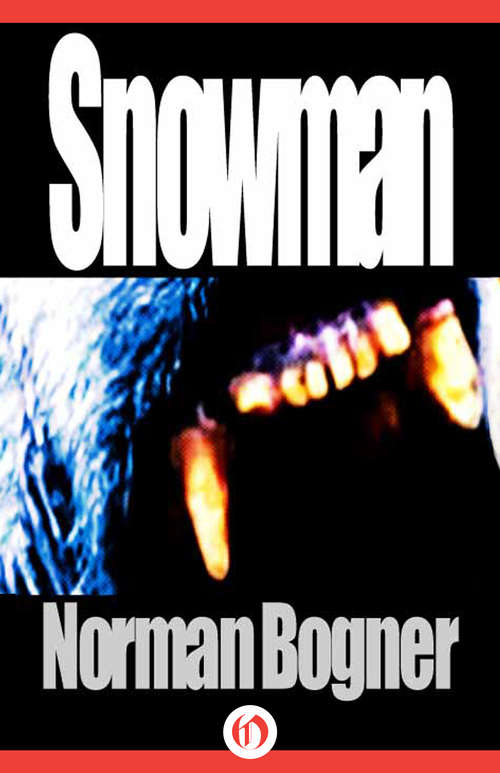 Book cover of Snowman