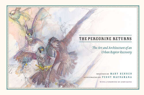 The Peregrine Returns: The Art and Architecture of an Urban Raptor Recovery