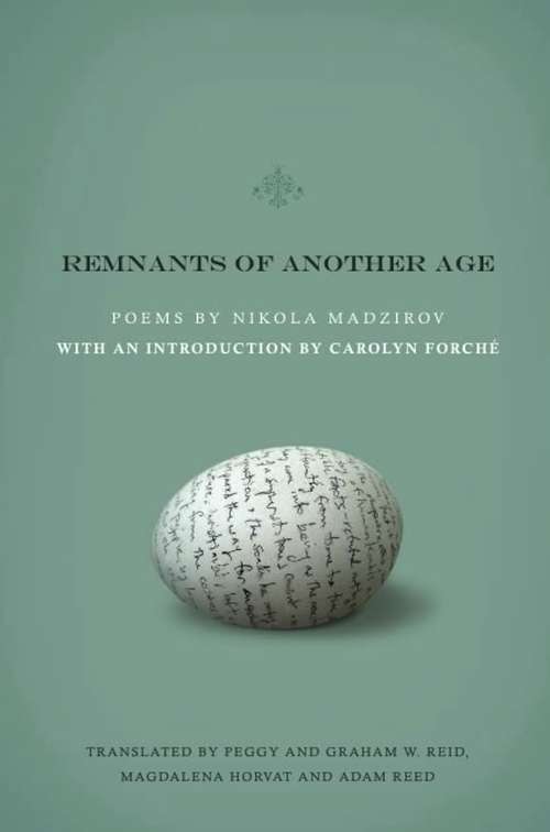 Book cover of Remnants of Another Age (Lannan Translations Selection Series)
