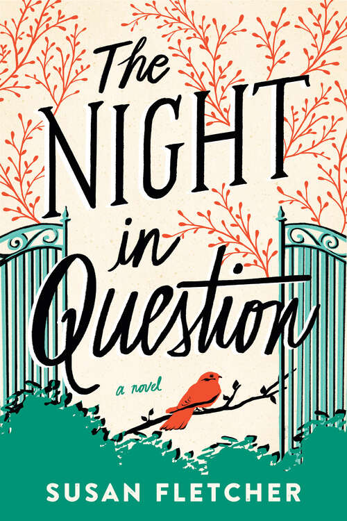 Book cover of The Night in Question: A Novel