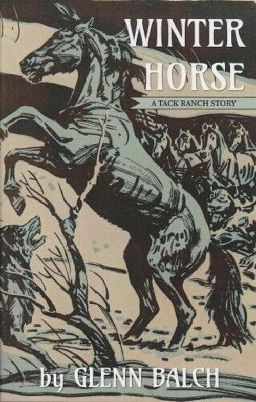 Book cover of Winter Horse: A Tack Ranch Story (Tack Ranch #4)