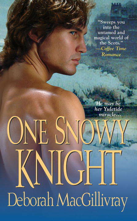 Book cover of One Snowy Knight