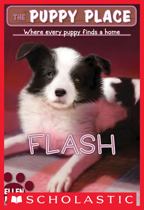 Book cover of The Puppy Place #6: Flash