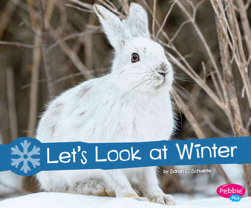 Book cover of Let’s Look at Winter: A 4d Book (Investigate The Seasons Ser.)