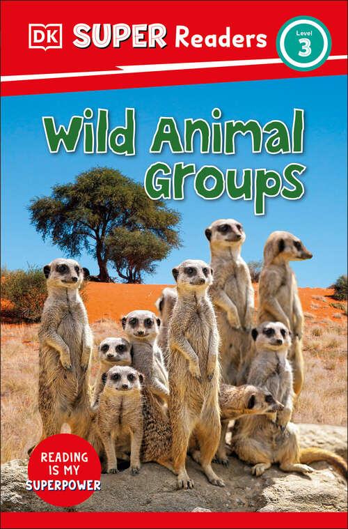 Book cover of DK Super Readers Level 3 Wild Animal Groups (DK Super Readers)
