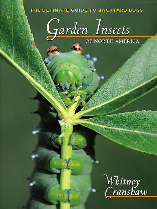 Book cover of Garden Insects of North America