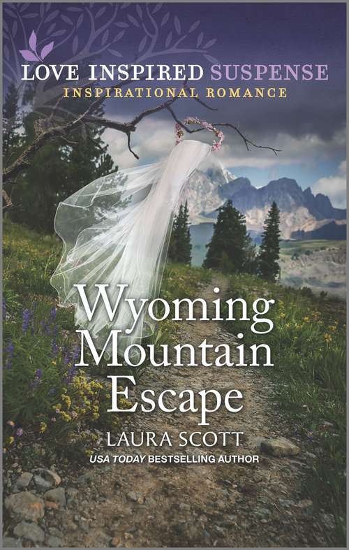 Wyoming Mountain Escape (Justice Seekers #3)