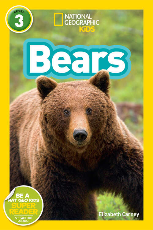 Book cover of Bears (Readers)