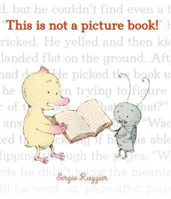 Book cover of This Is Not a Picture Book!