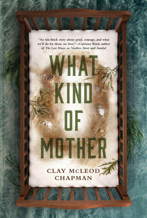 Book cover of What Kind of Mother: A Novel