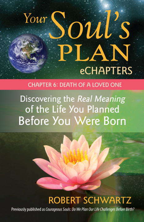 Book cover of Your Soul's Plan eChapters - Chapter 6: Death of a Loved One