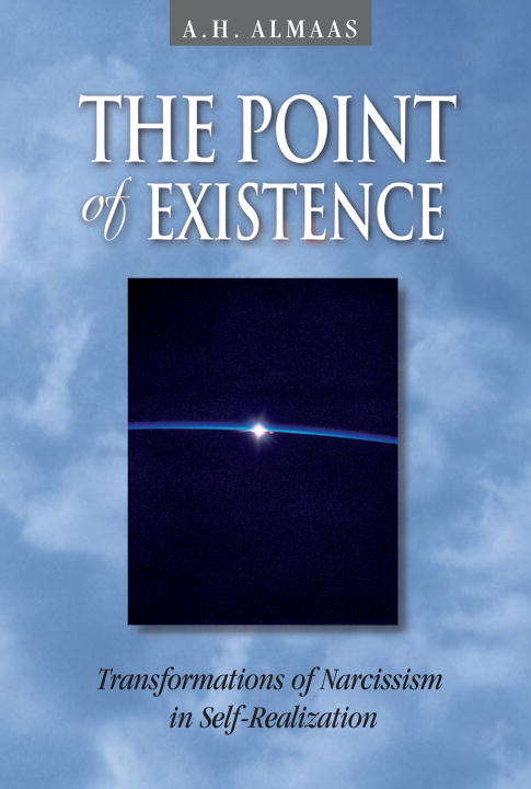 Book cover of The Point of Existence: Transformations of Narcissism in Self-Realization