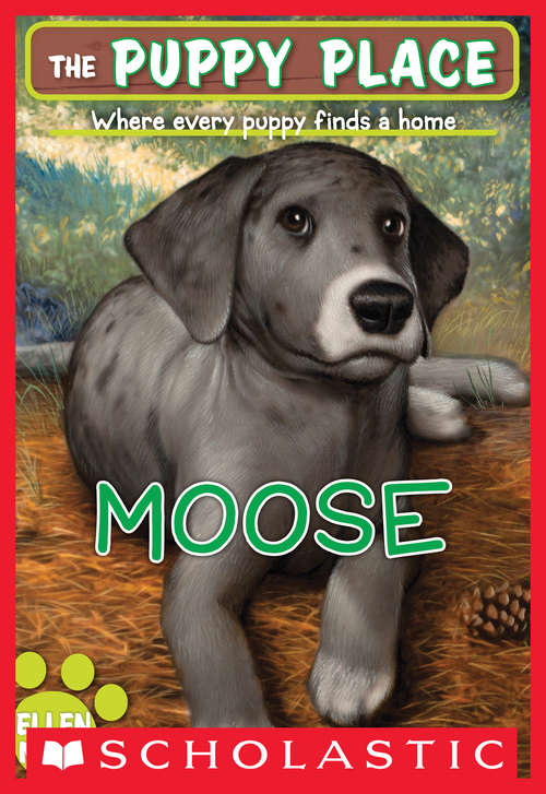 Book cover of The Puppy Place #23: Moose