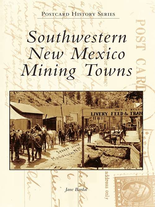 Book cover of Southwestern New Mexico Mining Towns