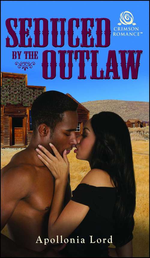 Book cover of Seduced by the Outlaw
