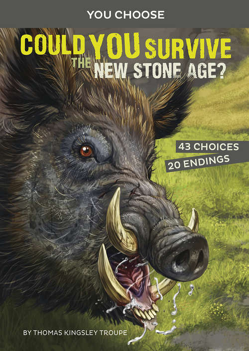 Book cover of Could You Survive the New Stone Age?: An Interactive Prehistoric Adventure (You Choose: Prehistoric Survival)