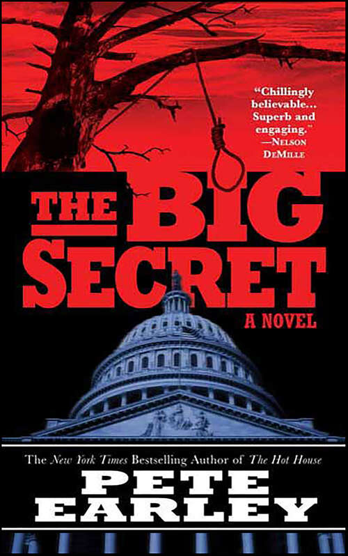 Book cover of The Big Secret: A Novel