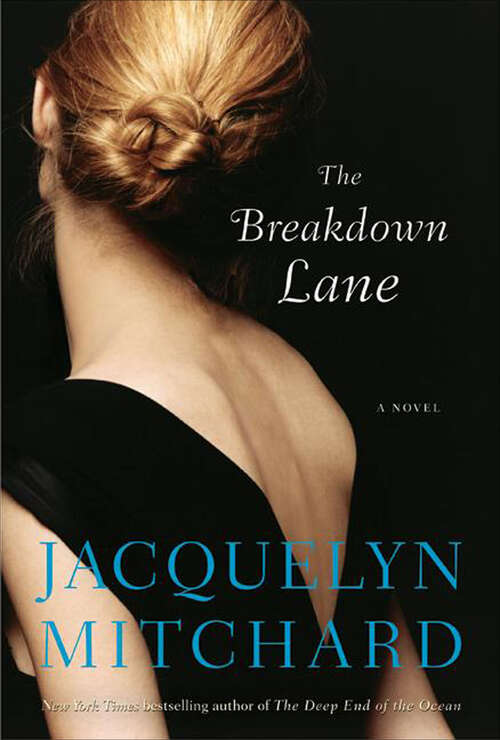 Book cover of The Breakdown Lane