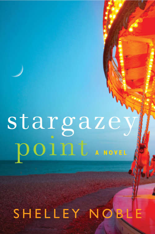 Book cover of Stargazey Point