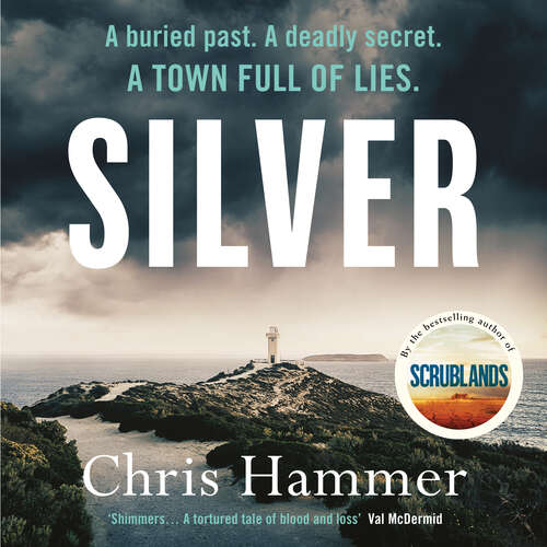 Book cover of Silver: Sunday Times Crime Book of the Month (A Martin Scarsden Thriller)