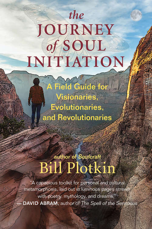 Book cover of The Journey of Soul Initiation: A Field Guide for Visionaries, Evolutionaries, and Revolutionaries