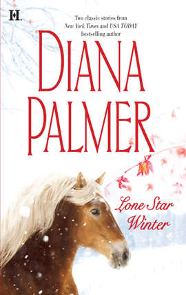 Book cover of Lone Star Winter