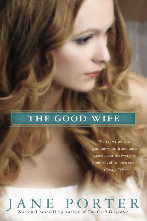 Book cover of The Good Wife